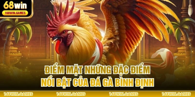 Điểm mặt những đặc điểm nổi bật của đá gà Bình Định