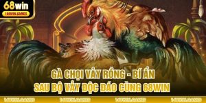 Gà Chọi Vảy Rồng - Bí Ẩn Sau Bộ Vảy Độc Đáo Cùng 68WIN